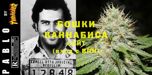 ПСИЛОЦИБИНОВЫЕ ГРИБЫ Снежногорск