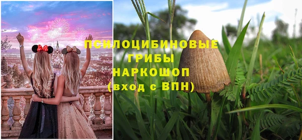 СК Белокуриха