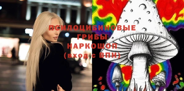 СК Белокуриха