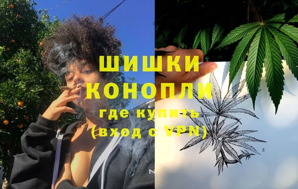 СК Белокуриха