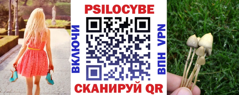 маркетплейс телеграм  Воскресенск  Псилоцибиновые грибы Psilocybe  даркнет сайт 